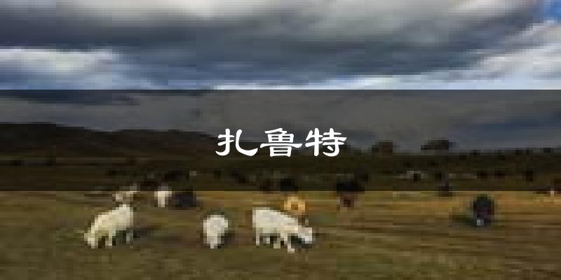 扎鲁特天气预报未来一周