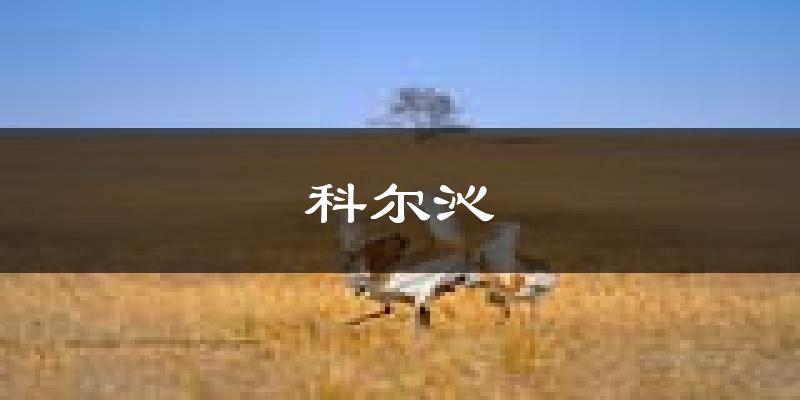 通辽科尔沁天气预报未来一周