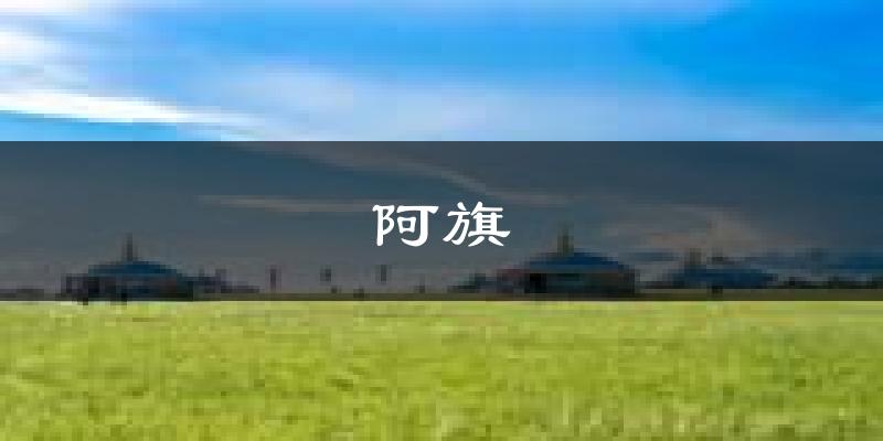 阿旗天气预报未来一周