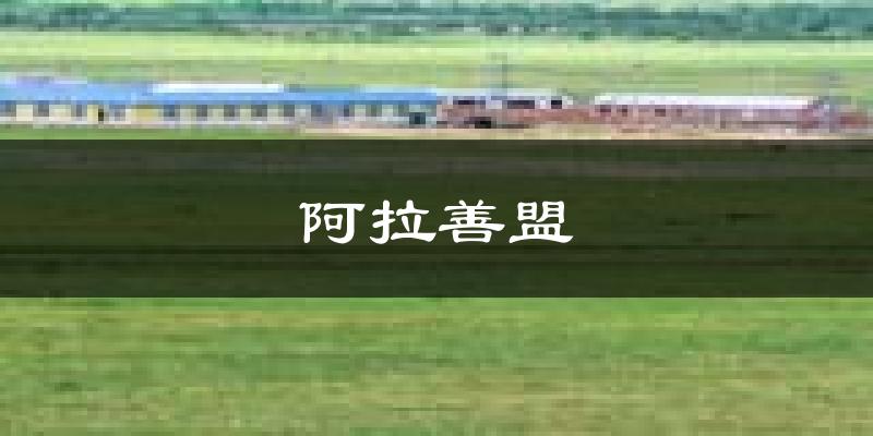 阿拉善盟天气预报未来一周