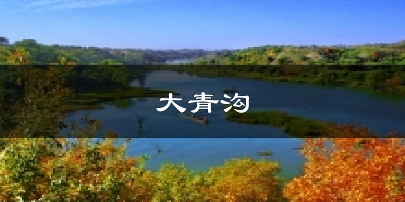大青沟气温