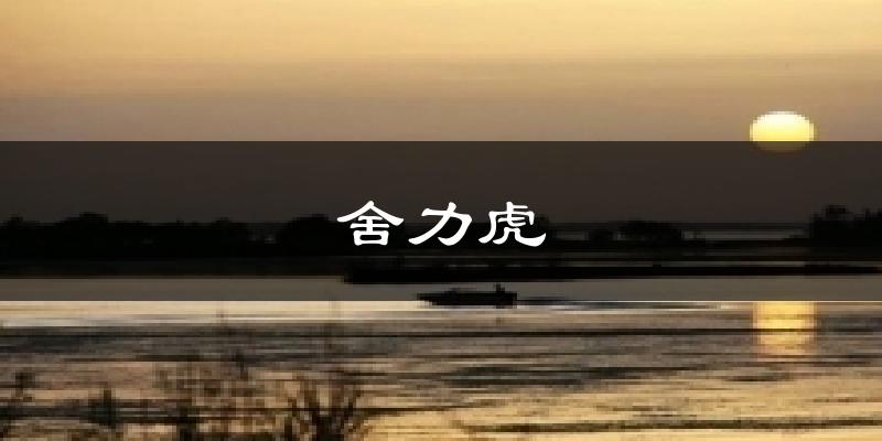 舍力虎气温