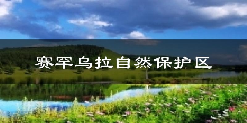 赛罕乌拉自然保护区气温